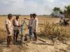 IMD पूर्वानुमान के बाद कृषि विभाग सक्रिय, धान की कम अवधि वाली किस्में अपनाने की अपील