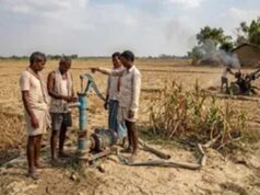 IMD पूर्वानुमान के बाद कृषि विभाग सक्रिय, धान की कम अवधि वाली किस्में अपनाने की अपील