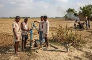 IMD पूर्वानुमान के बाद कृषि विभाग सक्रिय, धान की कम अवधि वाली किस्में अपनाने की अपील