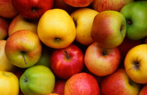 Apple Crisis in Himachal: 40% तक घट सकता है सेब उत्पादन, जानें कौन बन रहा ₹5000 करोड़ के कारोबार का सबसे बड़ा ‘खलनायक’