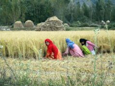 खेती में महिलाओं की भागीदारी बढ़ी, ग्रामीण अर्थव्यवस्था को मिली नई रफ्तार