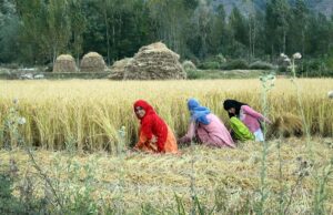 खेती में महिलाओं की भागीदारी बढ़ी, ग्रामीण अर्थव्यवस्था को मिली नई रफ्तार