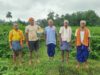 10 एकड़ में सामूहिक खेती कर किसान बदल रहे समृद्धि की तस्वीर, 175 से 180 रुपये किलो बिक रहा जवांफूल चावल