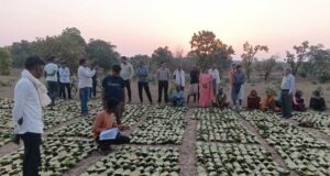डिजिटल एवं पारदर्शी व्यवस्था से सीधे खातों में अंतरित हुई प्रोत्साहन पारिश्रमिक राशि, वनवासी परिवारों की आजीविका और ग्रामीण अर्थव्यवस्था को मिला नया संबल