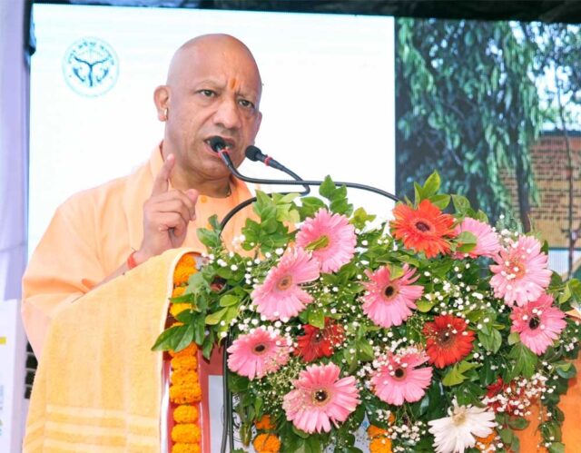 Yogi_01-18.jpg