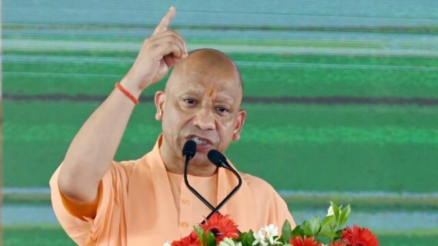 cm_yogi_11-12.jpg