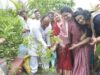 एक पेड़ माँ के नाम अभियान के अंतर्गत किया पौध-रोपण