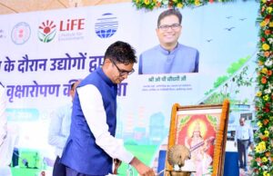 केवल पौधे लगाना नहीं, उन्हें जीवित रखना सबसे बड़ी जिम्मेदारी : मंत्री ओ.पी. चौधरी