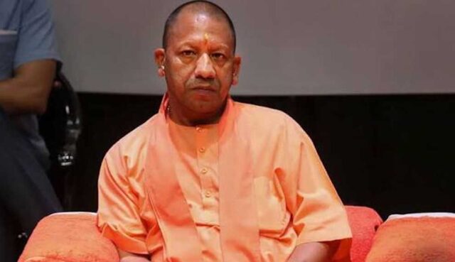 yogi_02-12.jpg