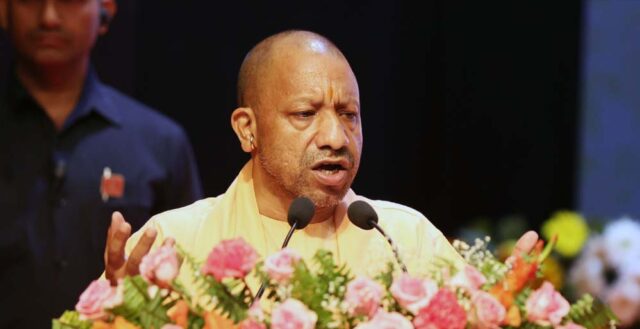 yogi_0_2_2-4.jpg