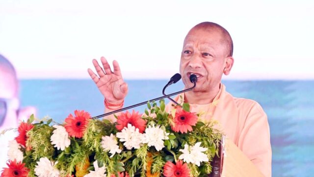 yogi_52.jpg