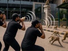 दिल्ली में बंदरों से निपटने का अनोखा इंतजाम, लंगूर की आवाज निकालेंगे विशेषज्ञ