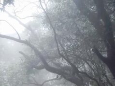 WMO रिपोर्ट का दावा, हिंद महासागर का पैटर्न बचा सकता है बारिश