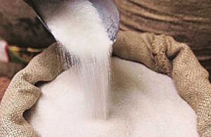 नहीं चलेगी चीनी की जमाखोरी! केंद्र सरकार ने बदली स्टॉक लिमिट, कारोबारियों के लिए नई पाबंदी