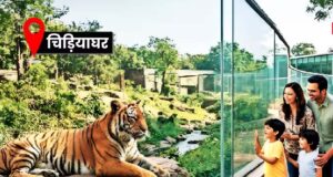 60 करोड़ से बनेगा दिल्ली जू का नया एंट्रेंस प्लाजा, बस यात्रियों को भी मिलेगी सीधी एंट्री