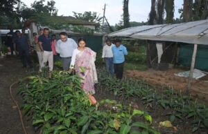 झारखंड में चाय-कॉफी खेती की शुरुआत, डेमोटांड फार्म बनेगा कृषि मॉडल