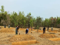 मनरेगा ने बदली निम्मलगुड़ा की तस्वीर, 500 जल अवशोषण ट्रेंच से बढ़ा भू-जल स्तर और मिला रोजगार