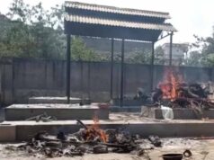 मुक्तिधाम में कुत्तों का अंतिम संस्कार कराने पर कार्रवाई, Bilaspur में टास्क कर्मी हटाया