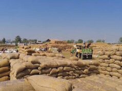 CG के धान खरीदी केंद्र में बड़ा घोटाला, ₹1.31 करोड़ की गड़बड़ी में दो गिरफ्तार