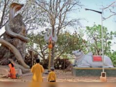 Jashpur News: कैलाश गुफा में हजारों कांवड़ियों के पहुंचने की तैयारी, इलाके में 16 हाथियों की मौजूदगी से चिंता