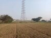 Rewa News: 88 घंटे की भूख हड़ताल के बाद मानी बात, आधी रात कलेक्टर ने दिया आश्वासन