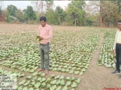 गांव के पास खुला फड़, 365 संग्राहकों को मिला सीधा आर्थिक लाभ