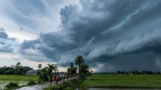rain_5-6.jpg