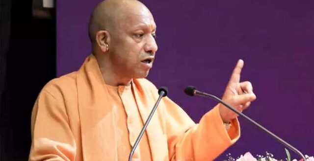 yogi_2_27_1-14.jpg