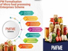 देश सेवा से उद्यम तक का सफर, PMFME योजना ने बदली सफलता की कहानी