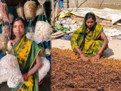 मशरूम और महुआ कारोबार से आत्मनिर्भर बनीं बबली, योजनाओं से मिली नई उड़ान