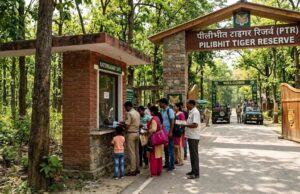 टाइगर रिजर्व में बढ़े टिकट के दाम, विदेशी पर्यटकों को अब देने होंगे 1000 रुपये