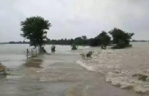 पटना पर मंडराया बाढ़ का संकट, गंगा का जलस्तर HFL पार; रविवार सुबह तक और बढ़ने का अलर्ट