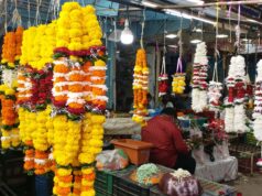 बारिश और बढ़ती मांग से फूलों की कीमतों में 60% तक उछाल