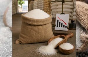 चीनी की कीमतों में बड़ी गिरावट, एक्स-मिल रेट 20% टूटे; त्योहारों तक मिल सकती है और राहत