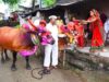 पोला पर्व पर छत्तीसगढ़ में खास आयोजन, CM विष्णुदेव साय होंगे शामिल