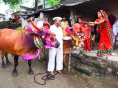 पोला पर्व पर छत्तीसगढ़ में खास आयोजन, CM विष्णुदेव साय होंगे शामिल