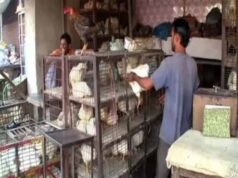 छत्तीसगढ़ में 5 दिन बंद रहेगी मांस-मटन की बिक्री, नियम तोड़ने पर होगी बड़ी कार्रवाई