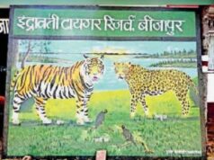 इंद्रावती टाइगर रिजर्व में बाघों की निगरानी का नया तरीका, वैज्ञानिक तकनीक का होगा इस्तेमाल