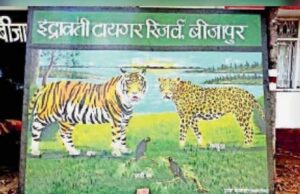 इंद्रावती टाइगर रिजर्व में बाघों की निगरानी का नया तरीका, वैज्ञानिक तकनीक का होगा इस्तेमाल