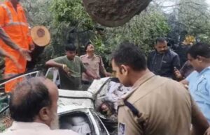 इंदौर में पेड़ गिरने से कार में फंसी बुजुर्ग की मौत, डेढ़ घंटे बाद निकाला गया शव