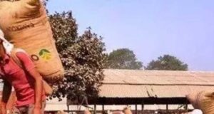 खेत से बाजार तक बदलेगा किसानों का सफर, ट्रेड शो में ब्रांडिंग और डिजिटल बिक्री का मंत्र