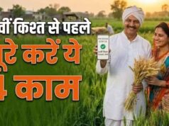 PM किसान योजना की 24वीं किस्त का इंतजार, अक्टूबर में मिल सकते हैं ₹2,000; e-KYC समेत ये काम जरूरी