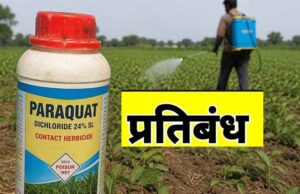 सरकार का बड़ा फैसला: पैराक्वेट डाइक्लोराइड के इस्तेमाल पर रोक, कंपनियों को बचा स्टॉक नष्ट करने के निर्देश