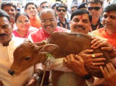 CM डॉ. यादव ने दिए आदर्श गौशाला जल्द तैयार करने के निर्देश, विभागीय योजनाओं पर चर्चा