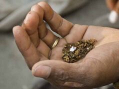 चबाने वाले तंबाकू का खौफनाक असर, स्टडी में 2.51 लाख मौतों का दावा