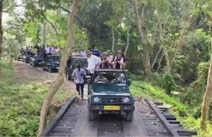 असम में फिर शुरू हुई जंगल सफारी, मानस 2 और काजीरंगा 3 अक्टूबर से पर्यटकों के लिए खुले