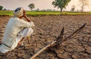 मध्य प्रदेश में बारिश की कमी से बढ़ी चिंता, 25 जिलों में सामान्य बरसात; 11 में 80% से भी कम
