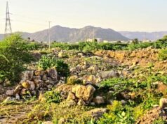 राजस्थान में अरावली को भारी नुकसान, अवैध खनन और निर्माण से बिगड़ रहा पर्यावरणीय संतुलन
