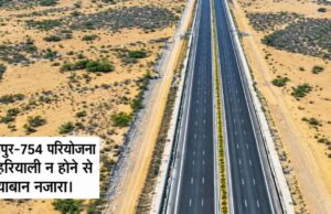 राजस्थान के हाईवे से गायब हुई हरियाली, हनुमानगढ़ में सबसे खराब स्थिति; सैटेलाइट सर्वे में चौंकाने वाले आंकड़े