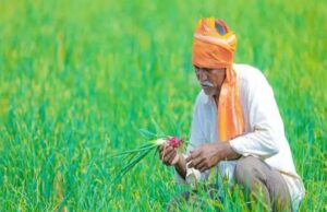 फसल बीमा क्लेम पर बड़ा फैसला, डूंगरपुर के किसानों को मिलेंगे 7.69 करोड़ रुपये